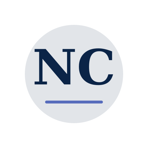Norsa Chimney Repair logo
